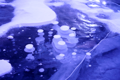 氷の中の鏡餅＾０＾