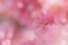 待ってたよ