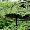緑の宮