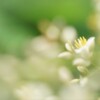 そろそろ梅雨