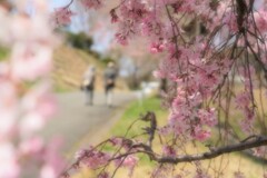 年月（としつき）を重ねて