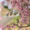 年月（としつき）を重ねて