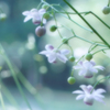 来たよ