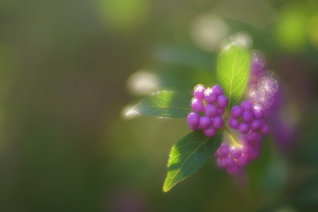 朝だったの