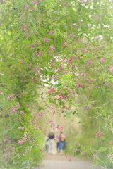 覚えていますか