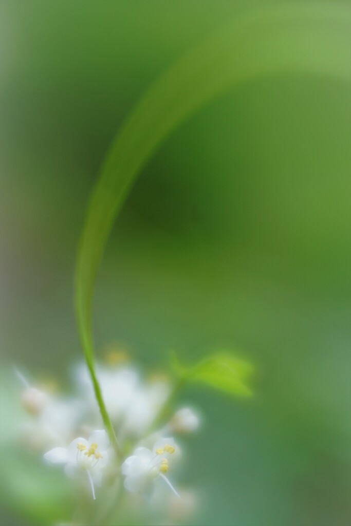 気づいてほしい