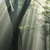知っていますか？