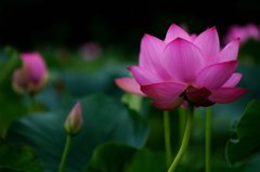優しくなれますか？