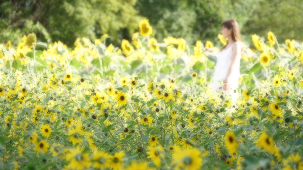 夏の女（ひと）