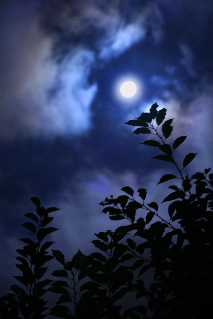 真夜中のシャッター音