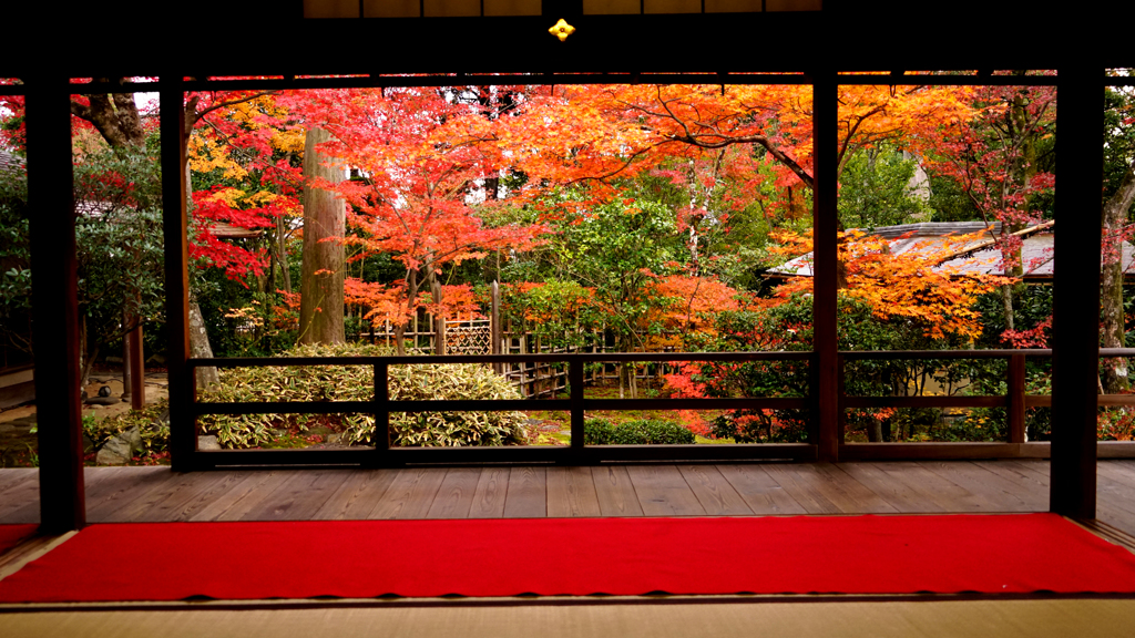 ざ・京都