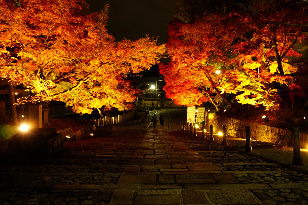 夜道