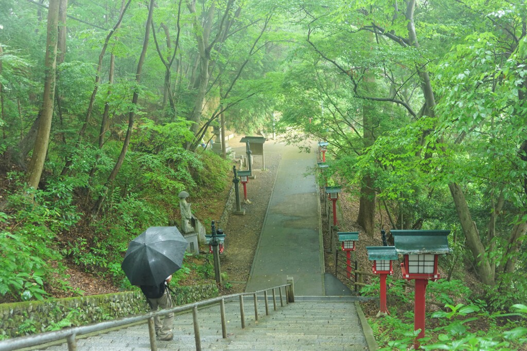雨でしたⅠ