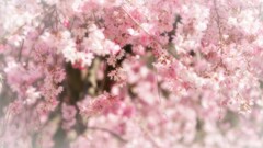 待っていたよ。