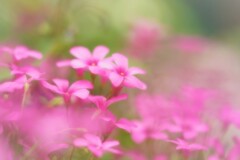 久しぶりに街へ