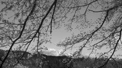 残雪の山