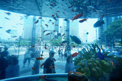 浮遊層