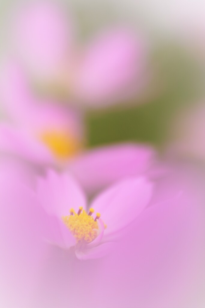 秋だね。