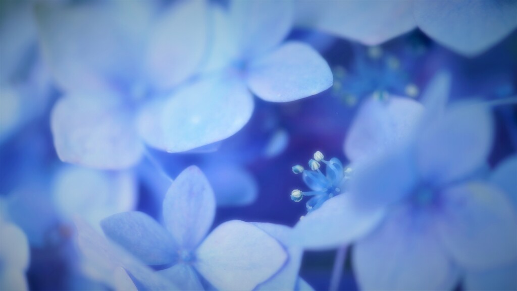 雨を待って