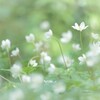 どうかお元気で