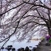 お仕事お仕事