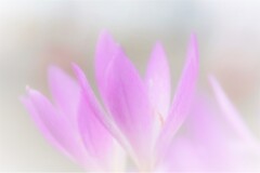 どこなの？