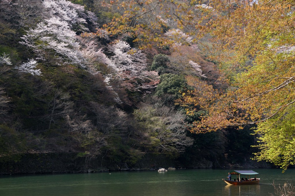 春の川、ひねもすのたりのたりかな