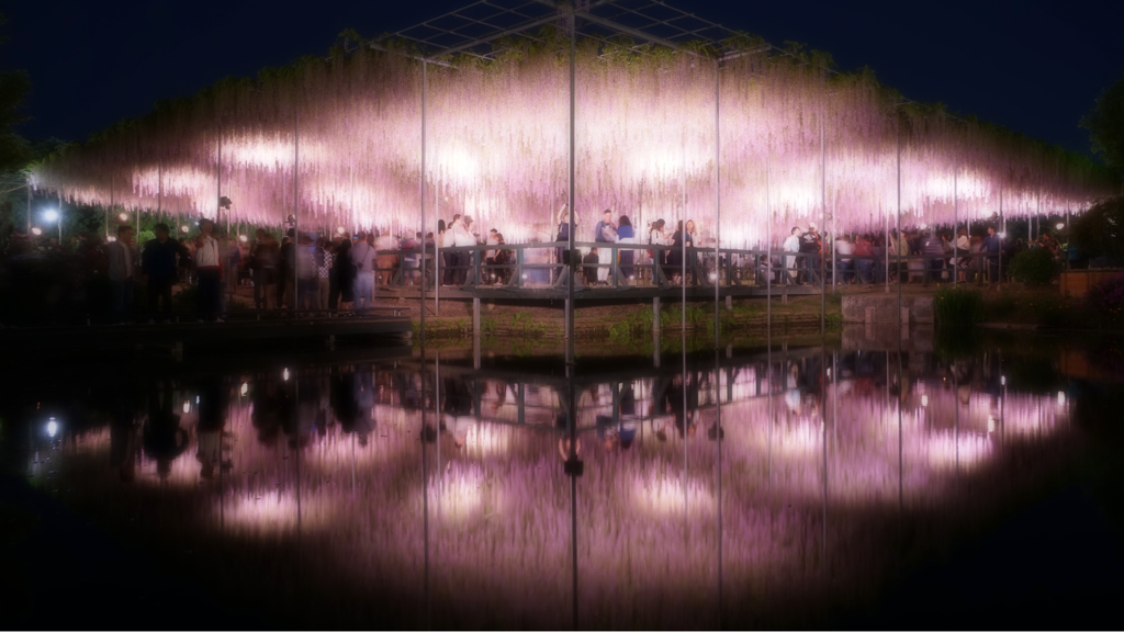 ぎりぎり間に合いました。