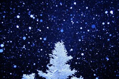 恵みの雪