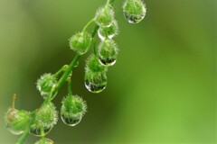 雨ですねぇ。