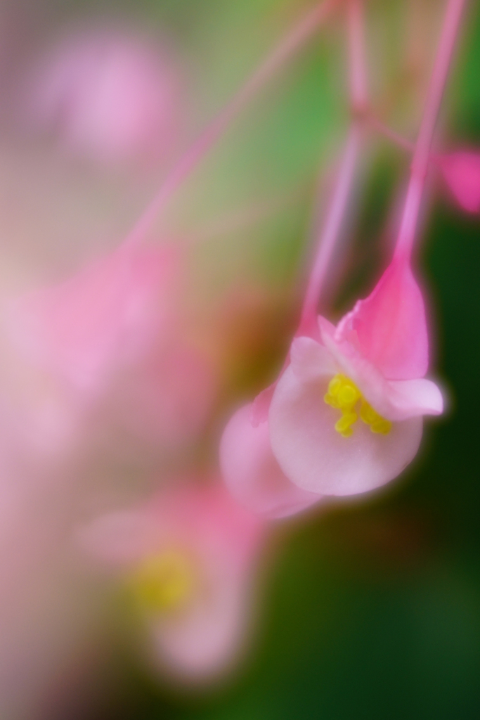 色っぽいきみ