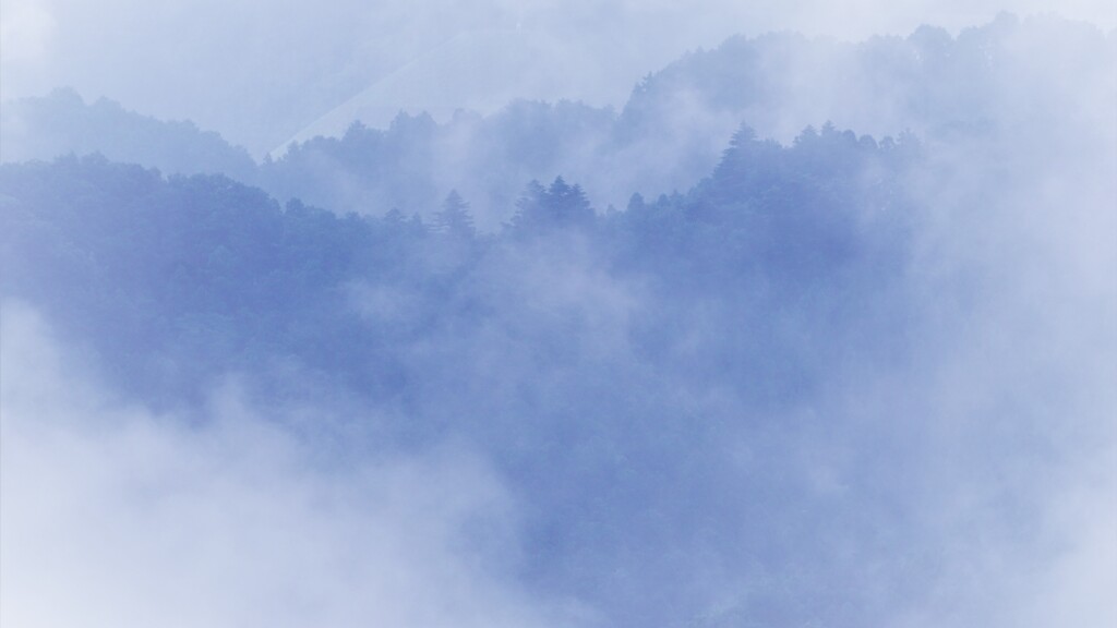 雨でしたⅡ