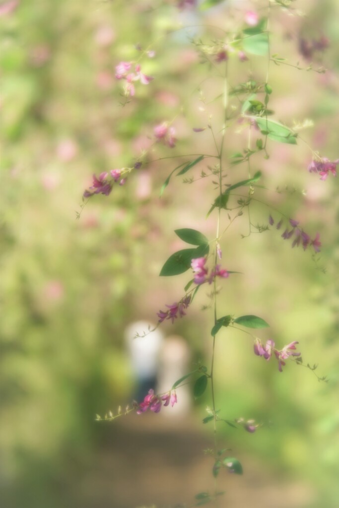 ふたりで