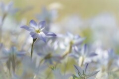 春の日に