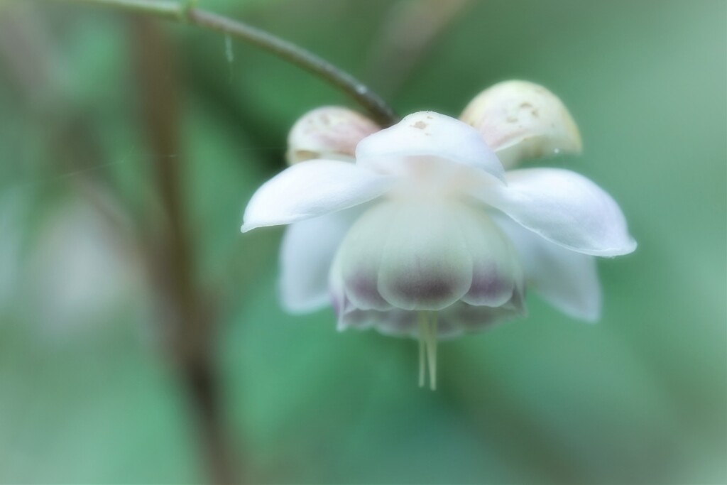 また会おう。