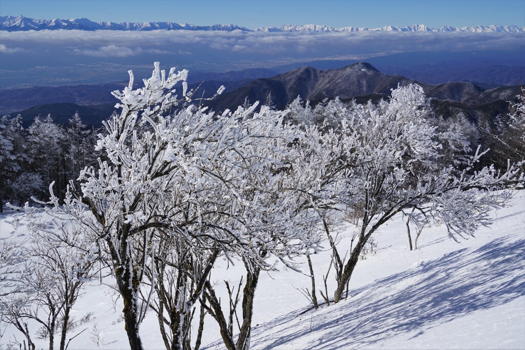 遠くの山並み