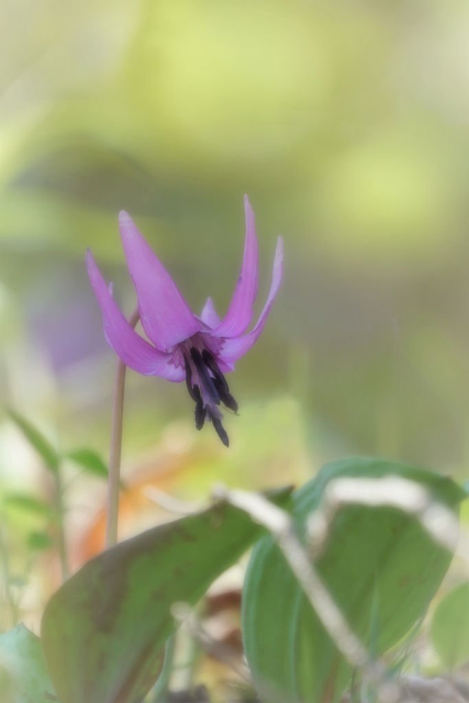 もっと近くに