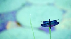 遊んでくれてありがとう