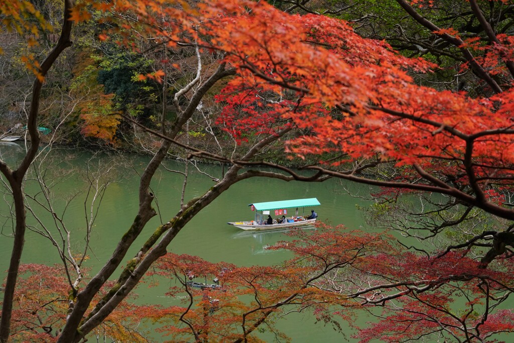 晩秋の景