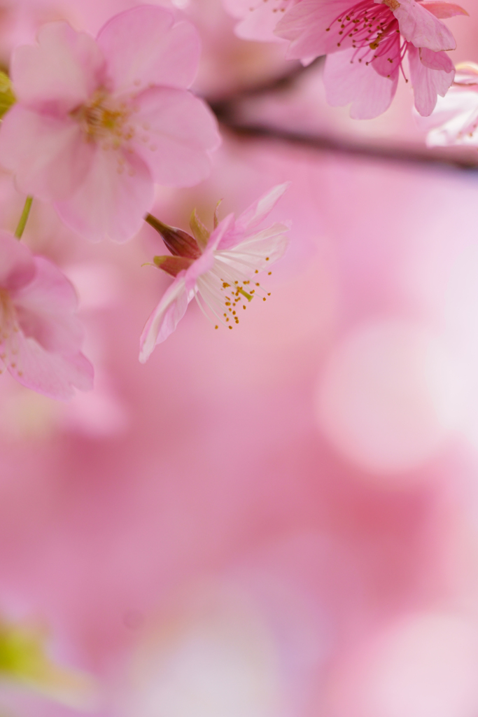 今年もありがとう。