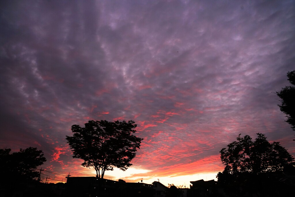 夕暮れに