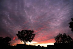 夕暮れに