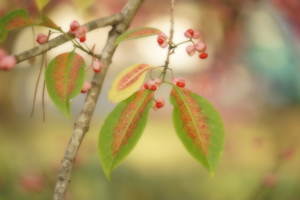 12月のカレンダーに