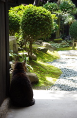 物思い