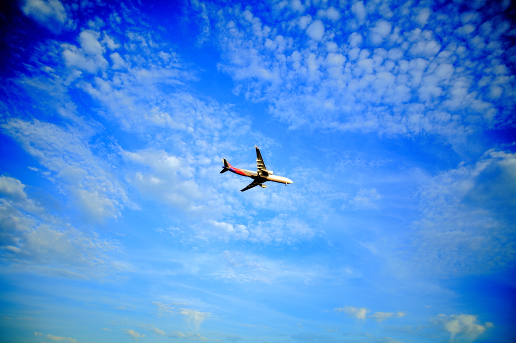 飛行機