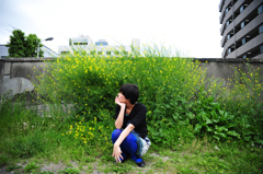 菜の花と。