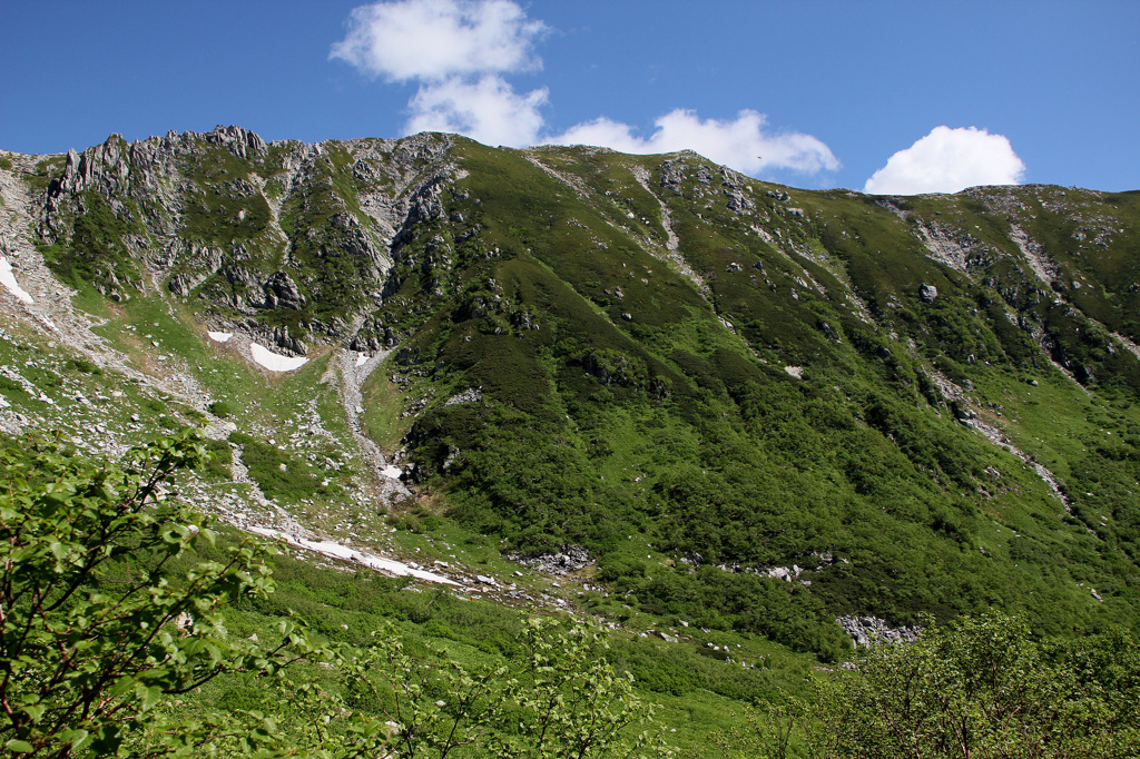夏山