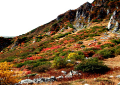 木曽駒ヶ岳紅葉