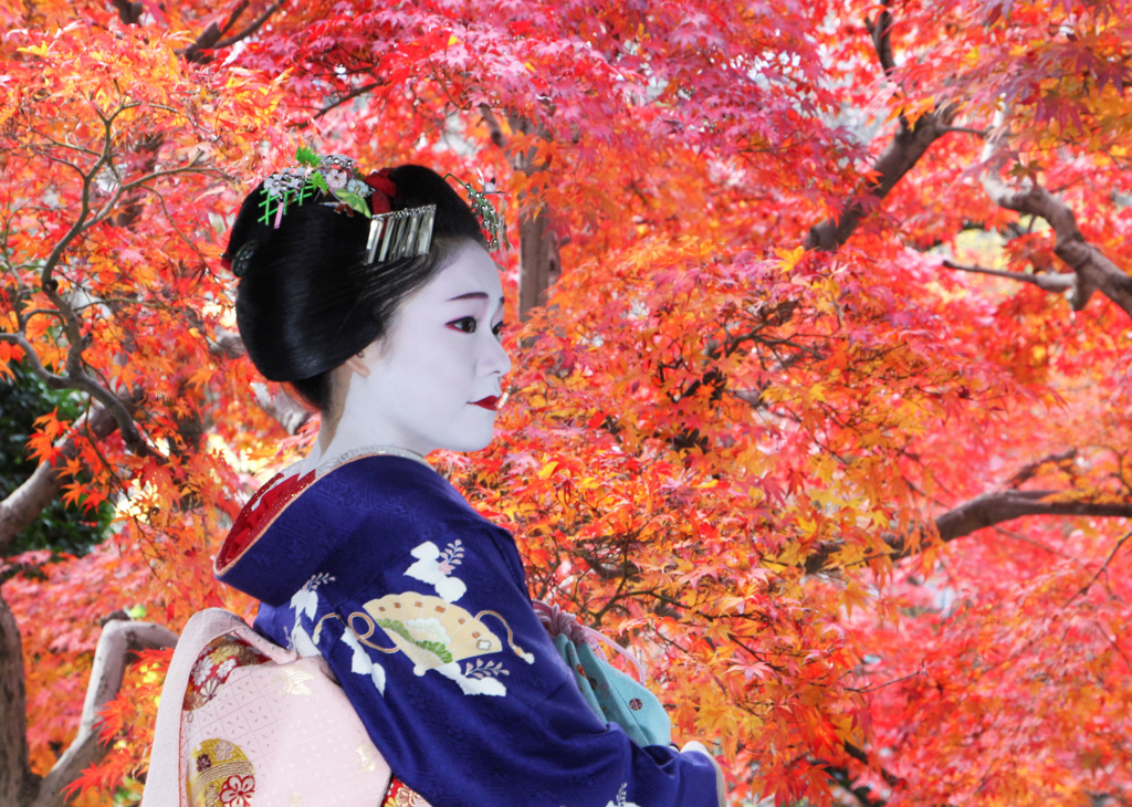 紅葉の下で