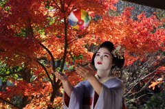 紙風船